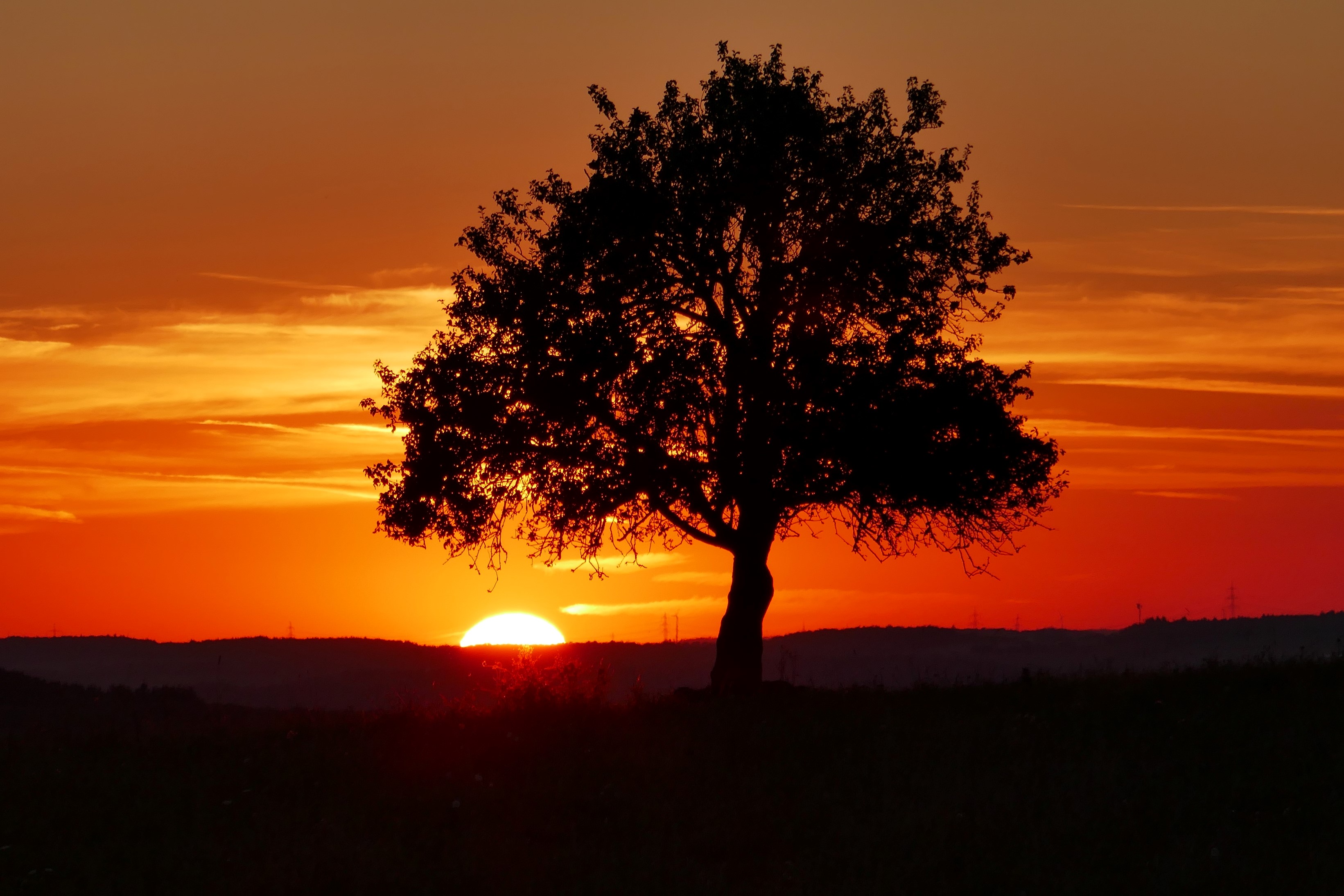 Hassels Welten AutorenBlog